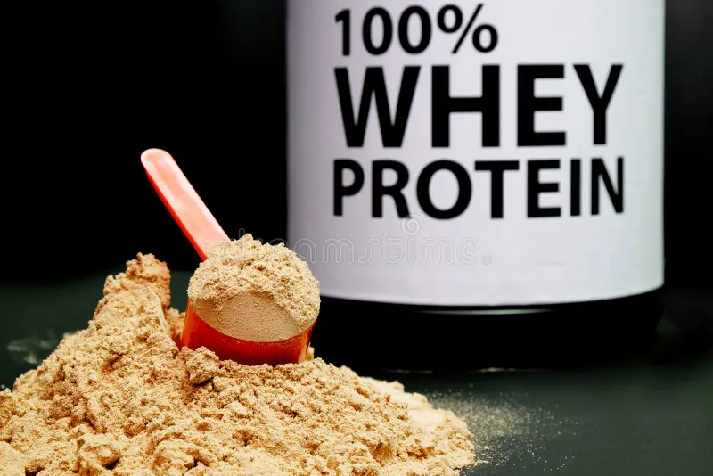 whey protein for muscle gain whey protein for muscle gain